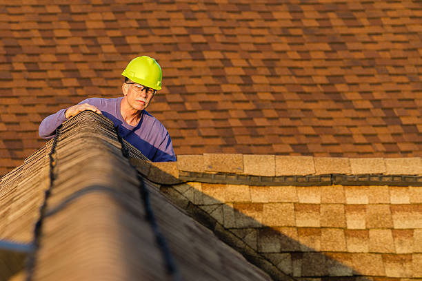 Best Roof Gutter Cleaning  in Seabrook Farms, NJ